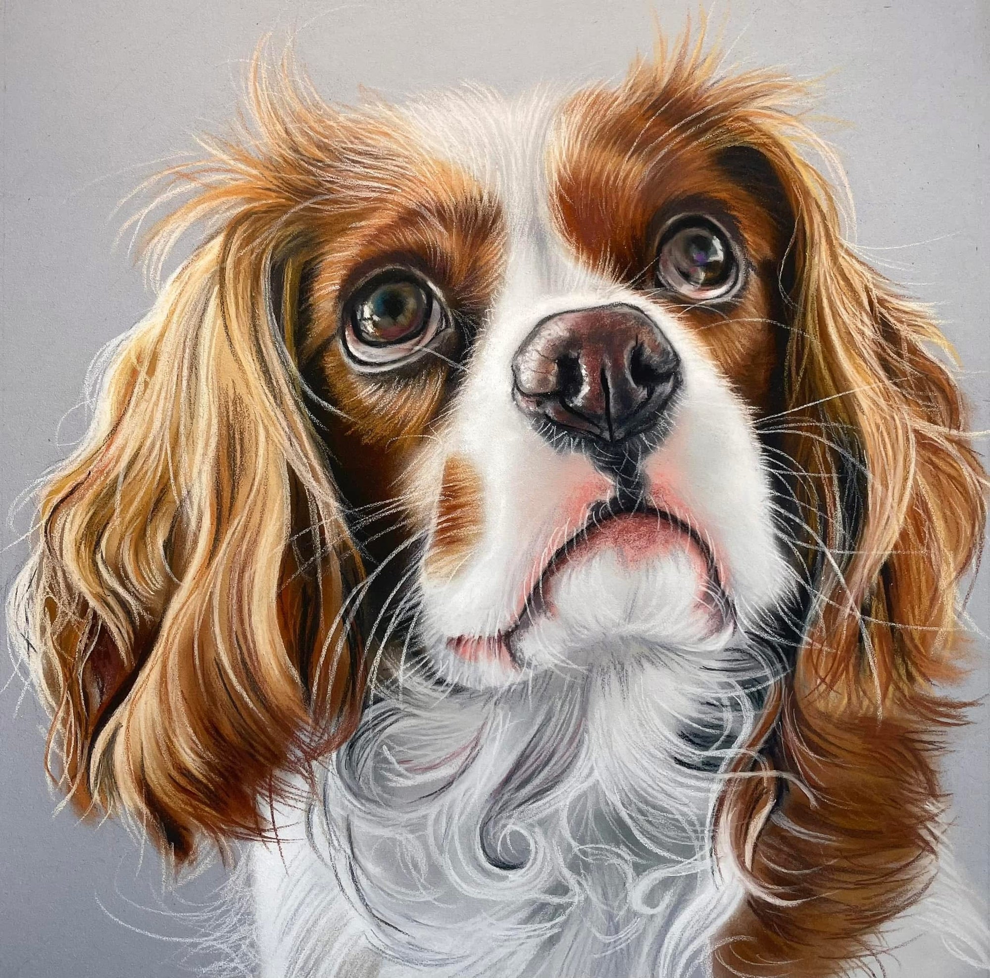 Premium Pet Portrait