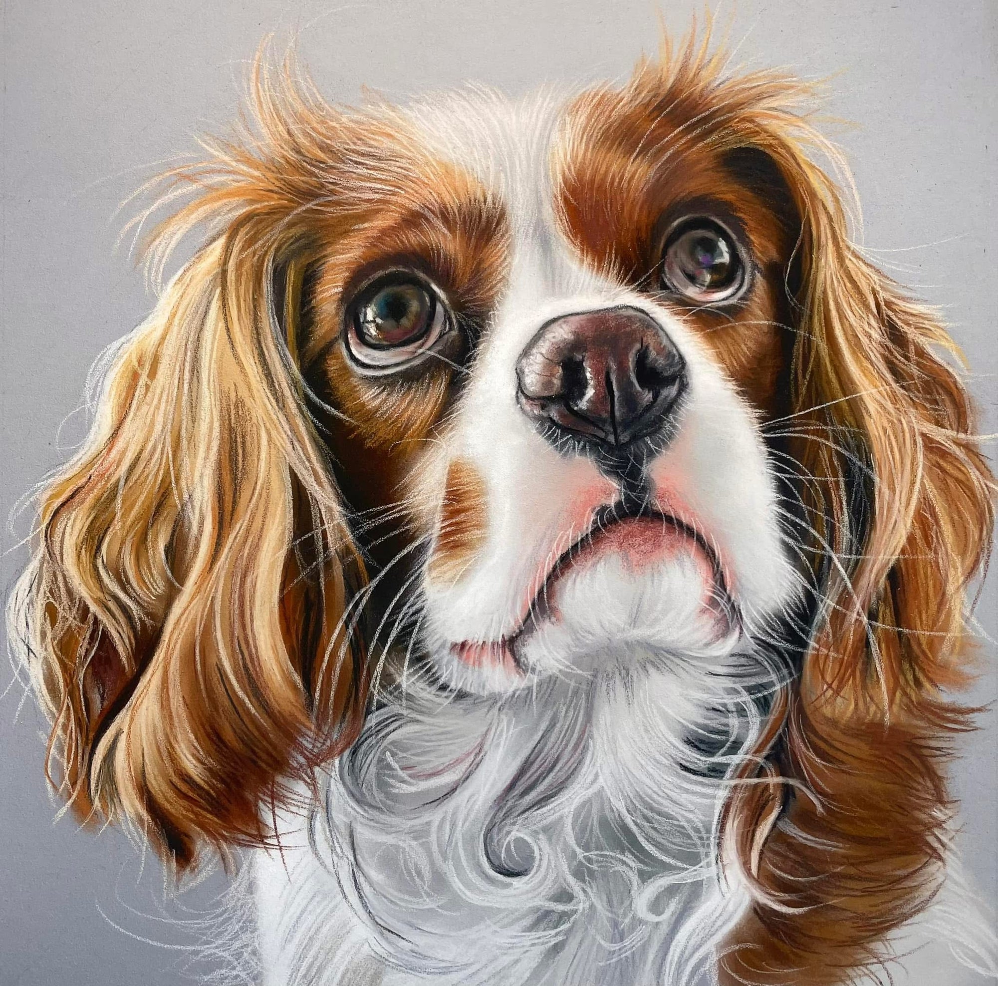 Premium Hand-Drawn Memorial Gift | Luxury Custom Pet Portrait | Bespoke Dog Portrait