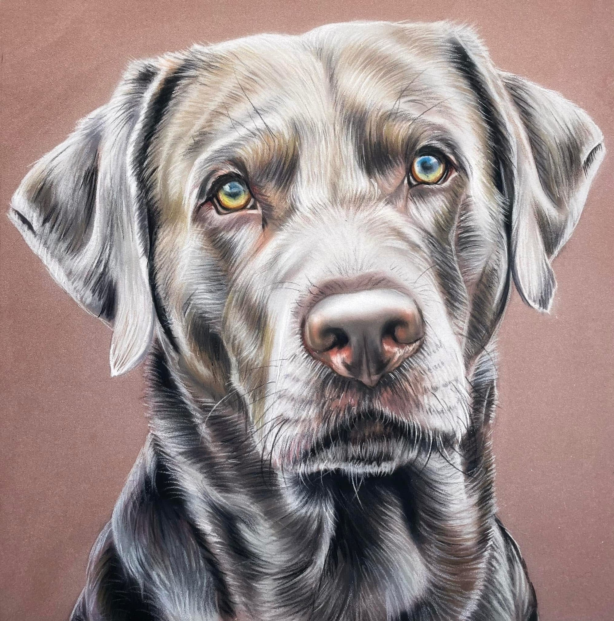 Premium Hand-Drawn Memorial Gift | Luxury Custom Pet Portrait | Bespoke Dog Portrait