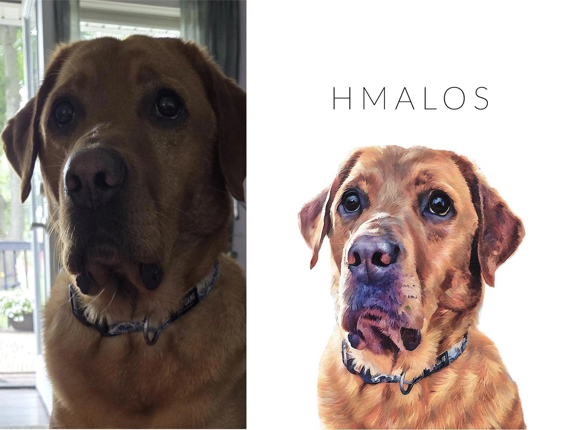 Custom Pet Portrait for Dog & Cat Lovers - Framed Gift with Free Delivery